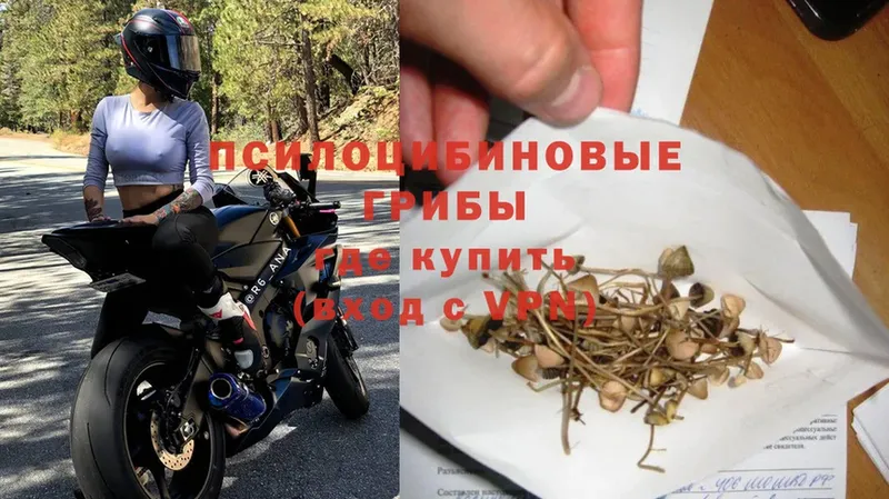 ОМГ ОМГ зеркало  Старая Русса  Псилоцибиновые грибы Psilocybe 