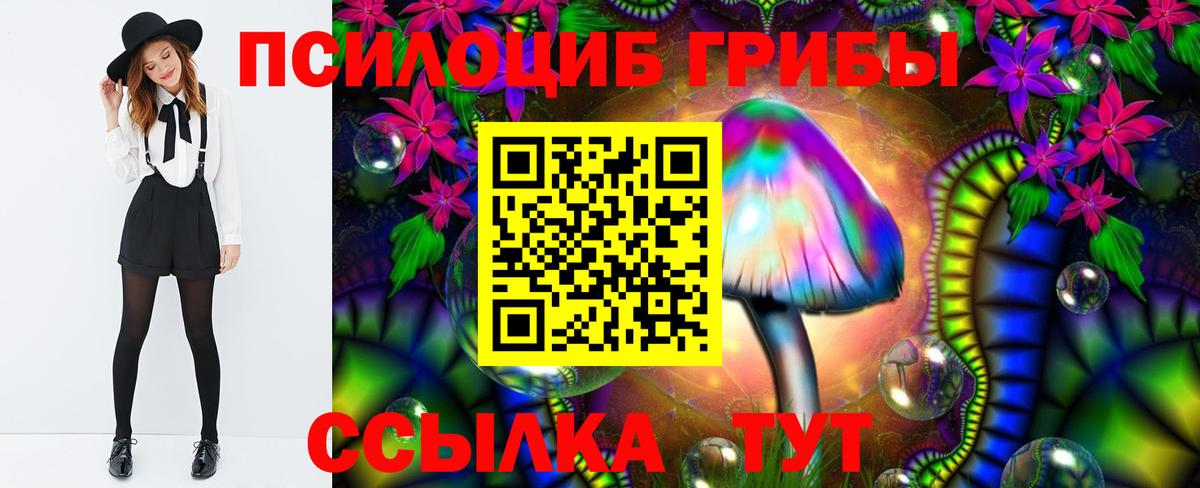 Псилоцибиновые грибы MAGIC MUSHROOMS  Вход с VPN  Галлюциногенные грибы GOLDEN TEACHER  Старая Русса 
