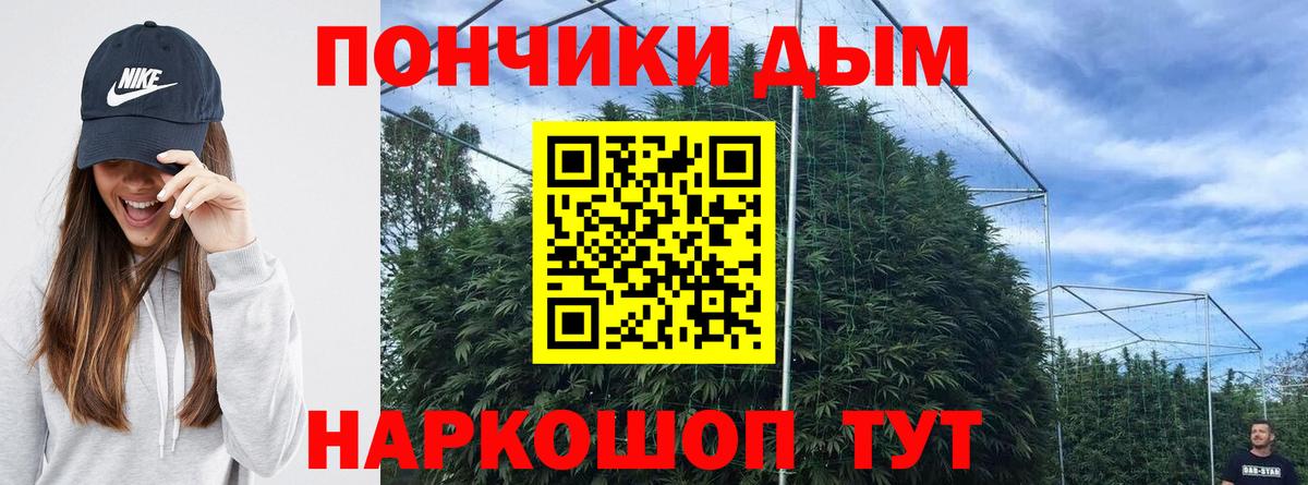 Бошки марихуана конопля Старая Русса